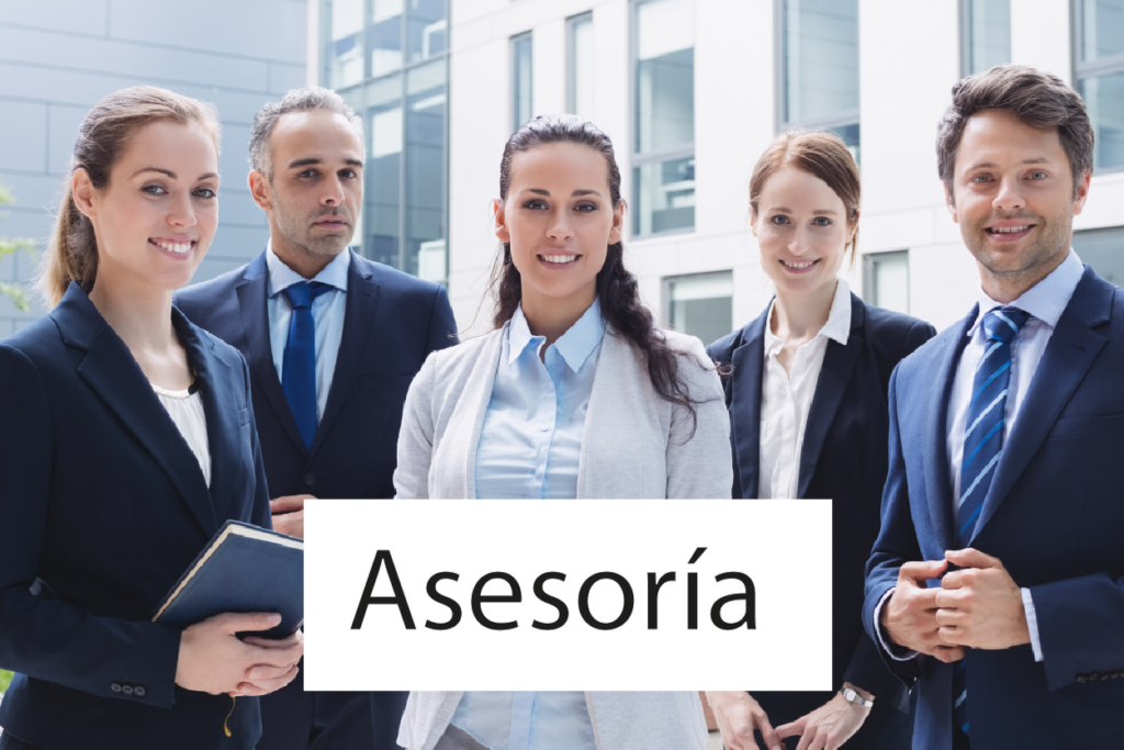 Asesoria